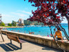 Welcome To Coeur d'Alene Idaho!